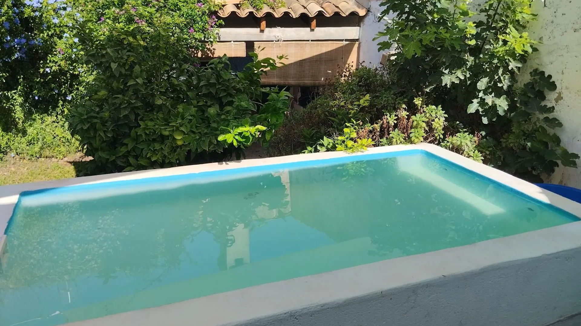 Homestay szállás Can Polta Santa Margalida